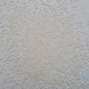 Nueva Cosecha de Arroz JASMINE para EXPORTACIÓN, Alta Calidad Basmati - Contactar a la Sra. Irisa - Product Image 4