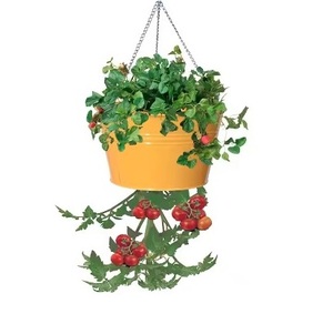 Modern Minimalist <b>Wire</b> Metal Planter Indoor Outdoor Home Decor Trending Pots With Ceiling Hanging Design Wall Hanging <b>Basket</b> - Product Image 4