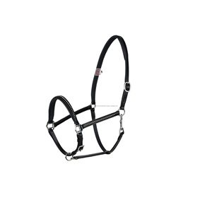 Licol en cuir de cheval rembourré, mode équestre, personnalisable, couleur laiton, logo personnalisé, taille personnalisée - Product Image 4