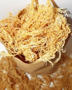 Musgo Marino Seco PREMIUM RICO EN MINERALES DISPONIBLE A GRANEL - Product Image 2