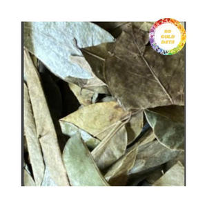 Feuilles de corossol séchées en vrac de qualité supérieure, matériau tropical naturel pour le thé, l'artisanat parfumé et les cadeaux - Product Image 6