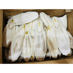 COQUILLES DE SEICHE/HAUTE CALCIUM/ÉTIQUETTE NETTOYANTE/NATUREL MARIN - Product Image 2