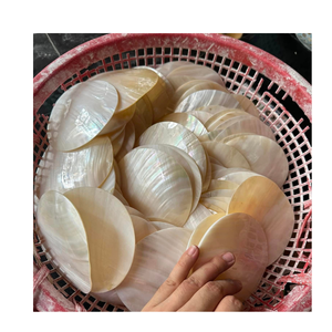 แม่ของไข่มุกที่ทำให้ไม้ร้องเพลงกระเบื้องฝังที่เหมาะสำหรับผู้สร้างกีตาร์และผู้ร้องเพลง - Product Image 3