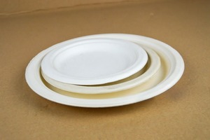 Assiettes jetables réutilisables en bagasse de canne à sucre blanche de 10 pouces 100% biodégradables écologiques compostables robustes pour la fête - Product Image 5