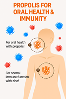 Complément Booster Immunitaire Propolis de Santé et Vitamine E Capsules de Marque Privée à Base de Produits Apicoles