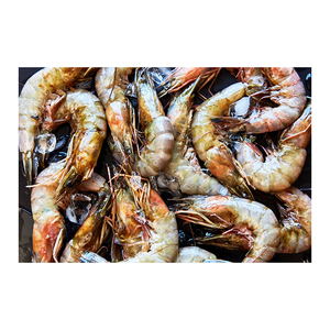 Suministro a granel de camarones de río enteros de todos los tamaños, entregados con el cuidado y la calidad en mente. - Product Image 1