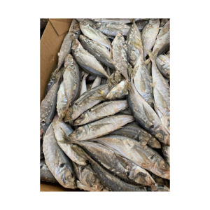 ปลาแมคเคอเรลแปซิฟิก ลดราคาพิเศษ ขายในราคาดี - Product Image 2