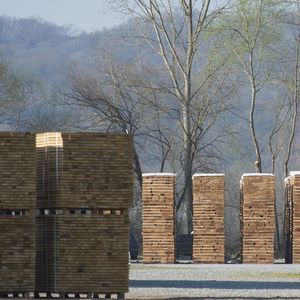 The Best Quality Timber Supply: Wholesale Ash <b>Wood</b> Timber Ash and <b>Oak</b> Lumber <b>for</b> <b>sale</b> - Product Image 3