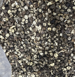 เห็ดหอมแห้งจำนวนมากส่วนผสมจากเวียดนามสำหรับซุปก๋วยเตี๋ยวและอาหารรสเลิศ - Product Image 3