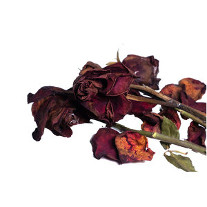 กุหลาบแดงแห้ง | กลิ่นหอมสะอาด | คุณภาพการส่งออก - Product Image 4