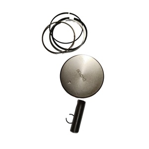 Parti e Accessori per Tosaerba, Pistone Originale per Tosaerba Dlm4300Sp Rif. 701410 - Product Image 1
