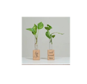 ที่ปลูกไม้ก๊อกเป็นมิตรกับสิ่งแวดล้อมพรีเมี่ยมพร้อมแม่เหล็กที่ไม่ซ้ำใครด้านหลังแม่เหล็กติดตู้เย็นในบ้านสวนที่ทันสมัยออกแบบด้วยแม่เหล็กสำหรับหลอดทดลองของขวัญ - Product Image 1