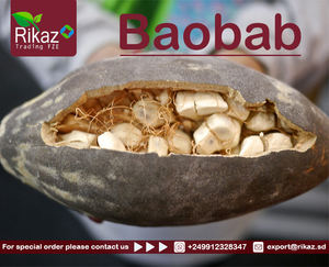 Semillas de Baobab y polvo de alta calidad directamente de la fuente agrícola de Sudán - Product Image 2