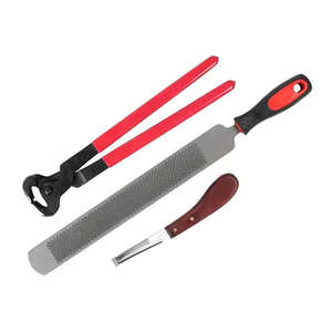 Kit de Herramientas de Acero de 3 Piezas para Herrador Veterinario Profesional de Alta Calidad ASTRIN SURGICAL con Garantía de 2 Años y Certificación CE - Product Image 3