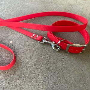 Collier et laisse pour chien en Pvc véritable avec boucle en métal Antique et anneau en D, colliers et laisse imperméables pour animaux de compagnie - Product Image 1