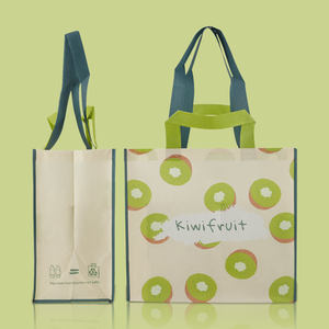 Bolsa de Compras de Tela No Tejida con Cierre de Gancho y Bucle y Asa de Cinta de Polipropileno - Product Image 5