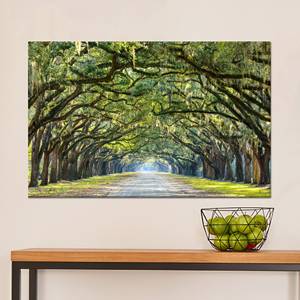 Tableau sur toile « Savannah Oak Trees » : impression décorative murale avec motifs forestiers, toile enveloppée 1P - Product Image 1