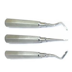Ensemble de 10 élévateurs de racine de luxation pour extraction de dents Instruments de chirurgie dentaire haut de gamme Minimisation des traumatismes pendant les extractions - Product Image 4