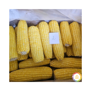Maïs sucré surgelé de haute qualité du Vietnam, issu de maïs naturellement mûri, pour l'exportation et la fabrication alimentaire - Product Image 2