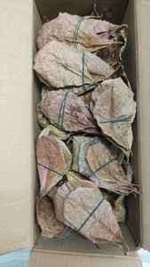 100% séché Terminalia Catappa indien feuilles d'amande saine nourriture pour poisson Betta pour accessoires d'aquarium de haute qualité - Product Image 3