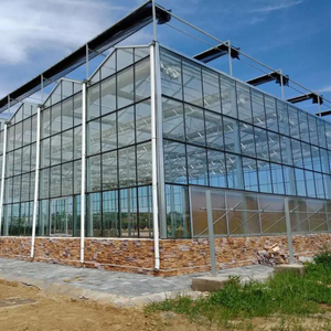 Commercial Multi Span Glass <b>Greenhouse</b> for Nursery Projects with Professional Design and Site Engineering Help - Product Image 3