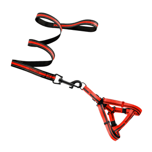 Elegante Set Pettorina e Guinzaglio per Animali Domestici in Nylon Confortevole per Addestramento e Passeggiate di Lusso, Traspirante, Taglia XL, Fantasia a Righe Solida - Product Image 5