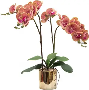THAOF-042 Seidenorchiden Bonsai künstliche Orchideenblumen Arrangements für Heimdekoration Geschenk für Zuhause in HCM-Stadt