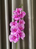 THAOF-029 kustom diterima warna-warni 38 inci kuning bunga anggrek buatan Phalaenopsis sentuhan nyata