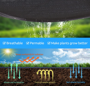 <span class=keywords><strong>Malla</strong></span> Antihierbas <span class=keywords><strong>Negra</strong></span> de Polipropileno Tejido, <span class=keywords><strong>Geotextil</strong></span> para Control de Malezas, Cobertura Agrícola para el Suelo - Product Image 4