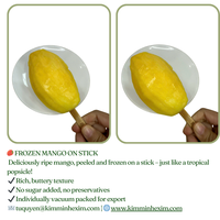 LQF Diepvriesvruchten Rode Drakenvrucht Mango op stokje Ananas op stokje Banaan op stokje Vacuüm verpakt Groothandel Bulk levering Vietnam