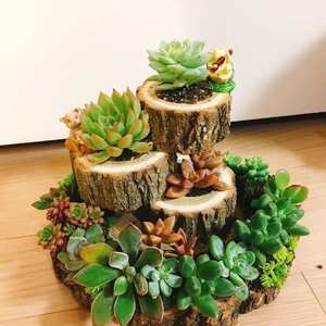 Artisanat pot de fleurs en bois souhaitant bien jardinière arrière-cour décor de jardin créatif jardinières en bois écorce pots de fleurs jardin - Product Image 5