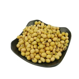 Graines de soja biologiques de qualité supérieure non OGM, soja séché à vendre - Emballage en vrac - Product Image 5