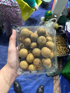 Longan Fresco Original de Vietnam de Primera Calidad, Sabor Dulce, Cuidadosamente Seleccionado para Exportación y Mercados Internacionales de Alimentos - Product Image 2