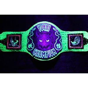 เข็มขัดแชมป์โลหะสั่งทำพิเศษ ดีไซน์น้ำหนักเบา โลโก้สั่งทำ สีสั่งทำ แบรนด์สั่งทำ สำหรับกีฬามวยปล้ำ - Product Image 1