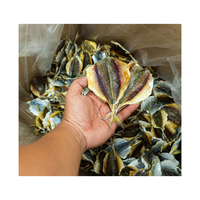 Peces secos Yellow Tail Scad/Yellowstripe | Especialidades/Productos especiales como regalos de Vietnam