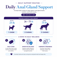Friandises à mâcher molles pour chiens Dog Scooting Wellness, soutien des glandes anales avec Psyllium Husk & Fibres pour des selles saines, marque privée OEM