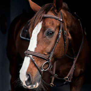 Customized Size Nylon Horse Riding Halter High Quality Equestrian Equipment Adjustable Horse Head Collar Accessory Waterproof - Product Image 1