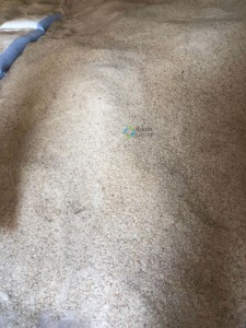 Goma arábiga de Acacia orgánica de calidad superior, polvo natural al mejor precio para uso alimentario agrícola grande y mediano, procesamiento crudo - Product Image 5