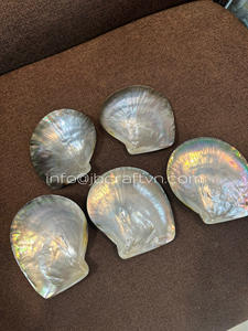 Luxurious Yellow Lip Mother of Pearl <b>Plate</b> Caviar Serving Dish Serving <b>Plate</b> Made of Shell Handmade Vietnam Caviar <b>Plate</b> - Product Image 6