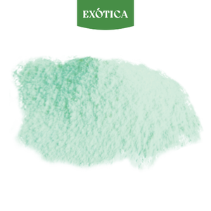 Poudre d'extrait de Gel d'aloe Vera pur 100% Gel péruvien approvisionnement en vrac de haute qualité - Product Image 1