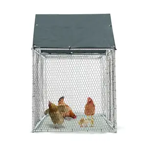 Large Metal Chicken Cage Walk-in Run House Coop for Outdoor Use Galvanized Tubes CGT30 shipping to Europe