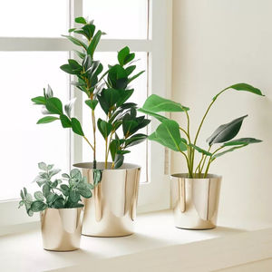 Jardinière en métal doré brossé, pot décoratif moderne pour plantes d'intérieur, élégant pour la maison, le bureau, le dessus de table et l'entrée, vente en gros - Product Image 6