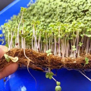 Factory Direct Coconut Coir <b>Mat</b> Supplier from Vietnam, Sustainable Coconut Coir <b>Mats</b> for <b>Gardening</b>, Farmhouse by ECO2GO Vietnam - Product Image 3