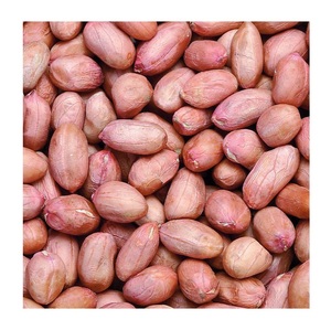 Vente en gros de cacahuètes Jumbo 100% cacahuètes naturelles cacahuètes crues Unshell bon marché - Product Image 5