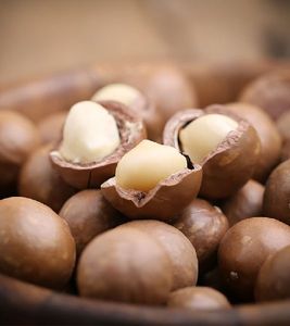 Sacs crus de noix de macadamia Meilleure vente de nourriture crue rôtie Prix bon marché Noyau de noix de macadamia à vendre - Product Image 2