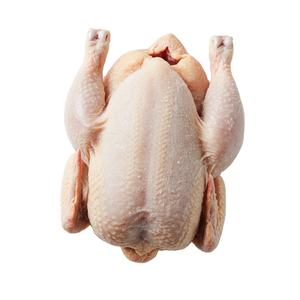 Oferta de temporada pollo entero congelado fresco congelado limpio envasado ideal para restaurantes supermercados y mayoristas - Product Image 4