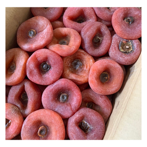 Fruit de kaki séché sucré de haute qualité goût doux kaki séché vietnamien à prix compétitif 2024 - Product Image 4