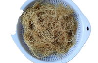 Extrait de PureGel Gracilaria: algues rouges de qualité supérieure pour la production d'agar-Durable et polyvalent