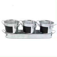 Desain terbaru Pot tanaman logam Set penanam dengan nampan untuk dalam ruangan taman luar ruangan Set 3 dengan nampan dalam harga wajar