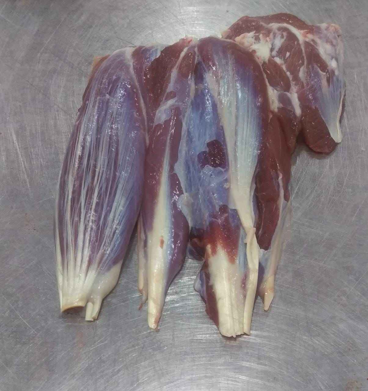 Frozen Cow Leg Halal IQF Frozen High-Quality Beef